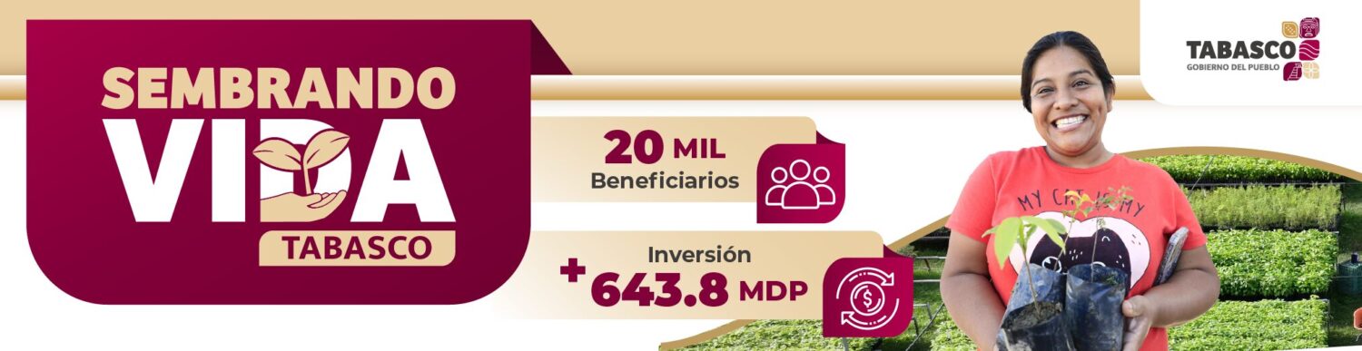 SEMBRANDO VIDA970 x 250
