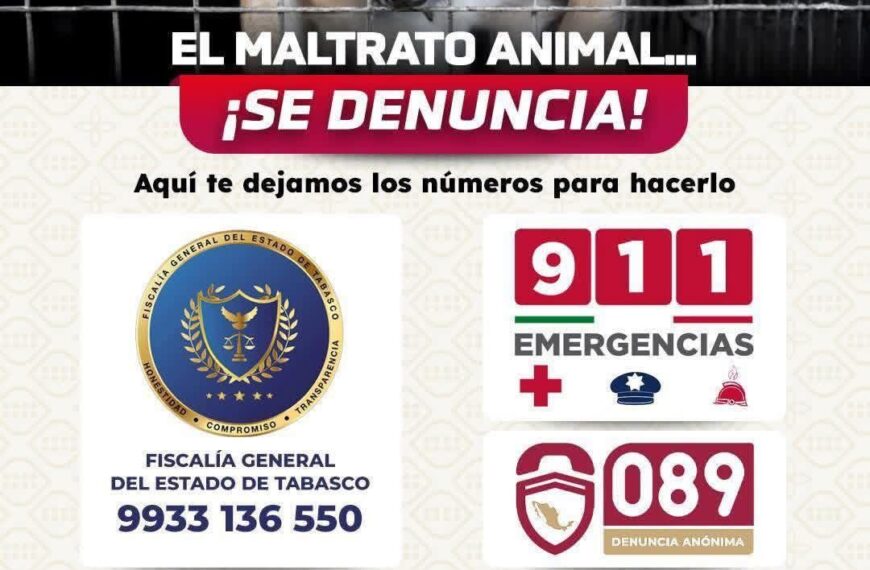 El maltrato animal… se denuncia. No lo olvide