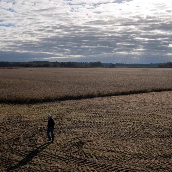Trump: ‘A China le gusta aprovecharse de la gente’