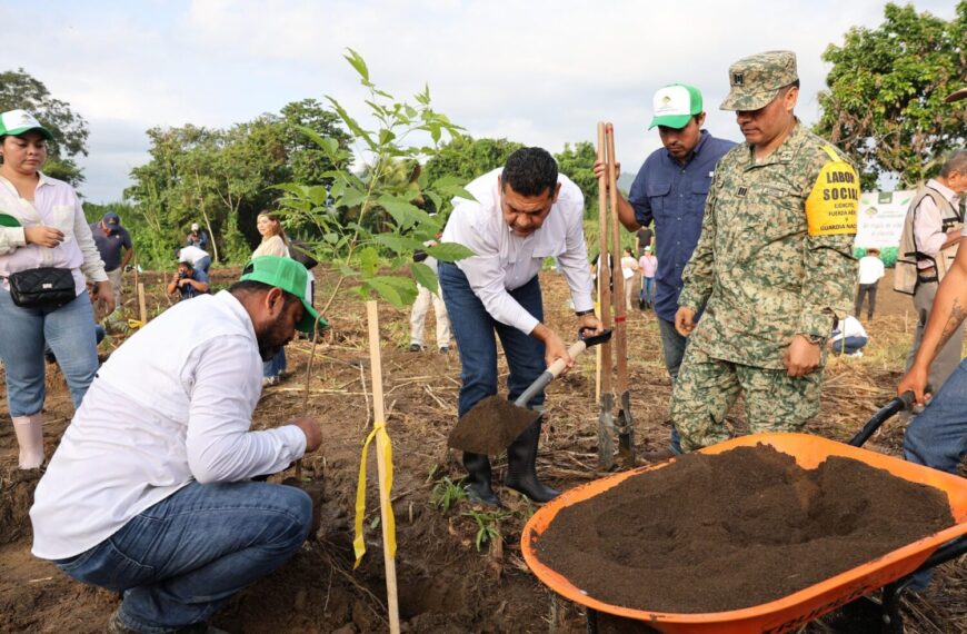 Pueblo y Gobierno de Tabasco logran la hazaña; rebasan meta de 2.4 millones de árboles en la Jornada de Reforestación