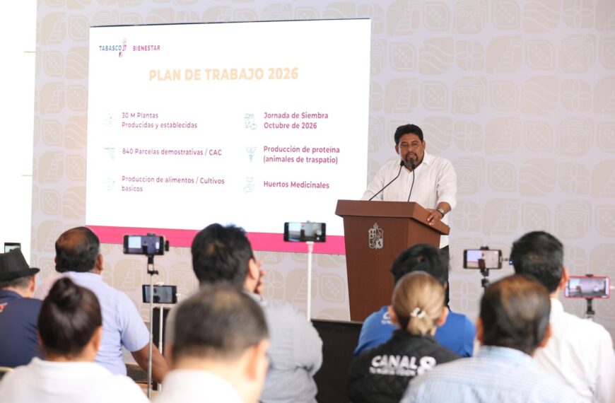 Sembrando Vida Estatal producirá 30 millones de plantas de cultivos básicos y forestales