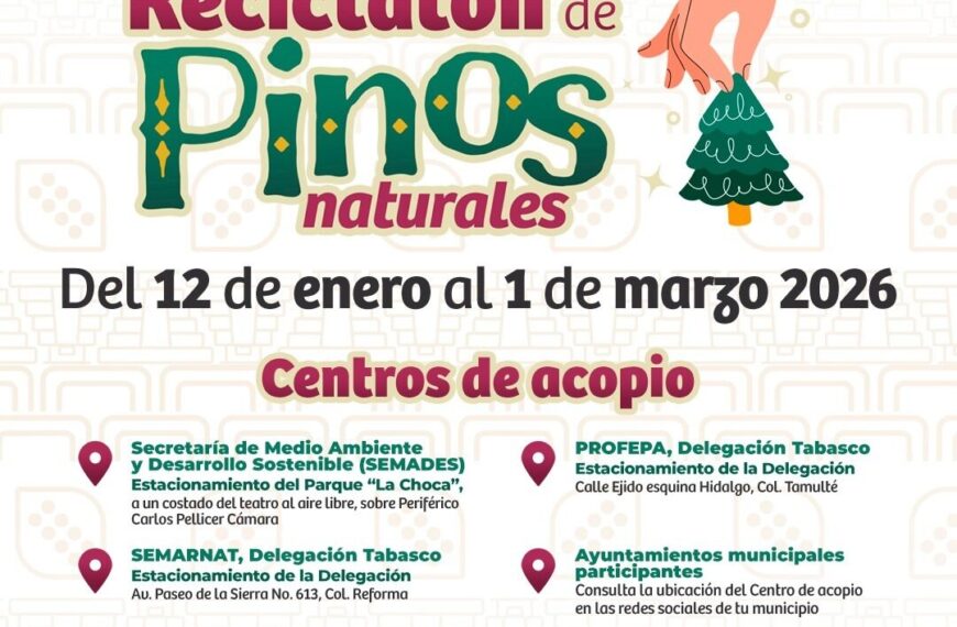 El 12 de enero inicia el “XVII Reciclatón de Pinos Naturales 2026”