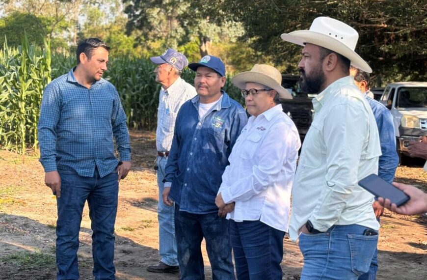 Reitera SEDAP invitación a productores a participar en el Segundo Concurso de la Mazorca de Maíz Criollo en la Feria Tabasco 2026