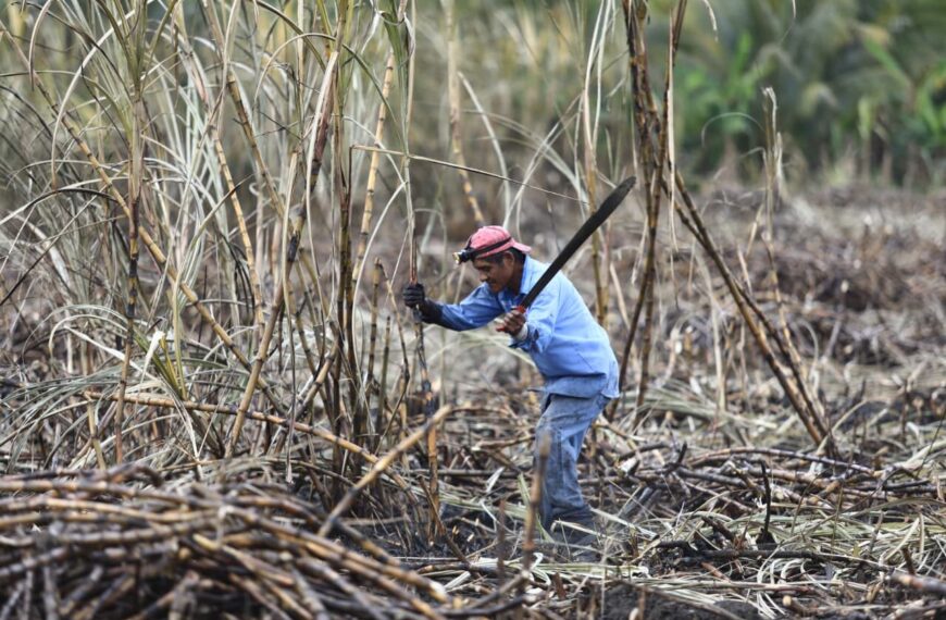 Con sistemas de riego impulsados por Gobierno del Pueblo, productores tendrán mejores resultados; beneficiados reconocen apoyos