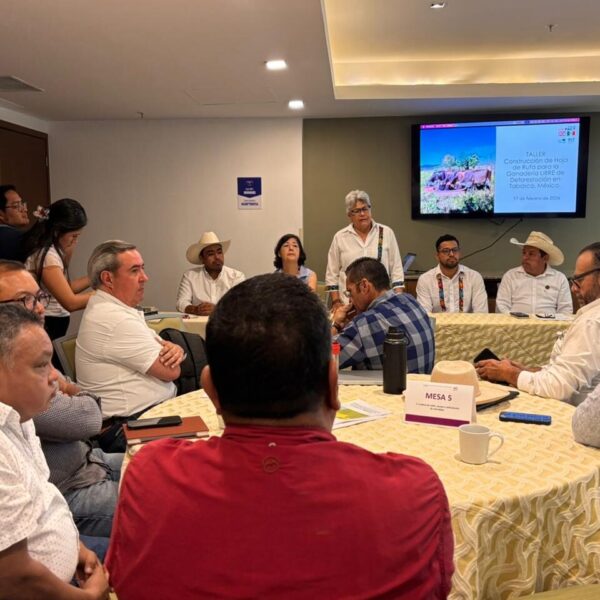 Tabasco impulsa la Hoja de Ruta Estatal para una ganadería libre de deforestación