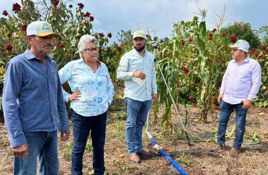Con riego y esperanza, el campo de Balancán florece: SEDAP impulsa a productores con Riego Suplementario