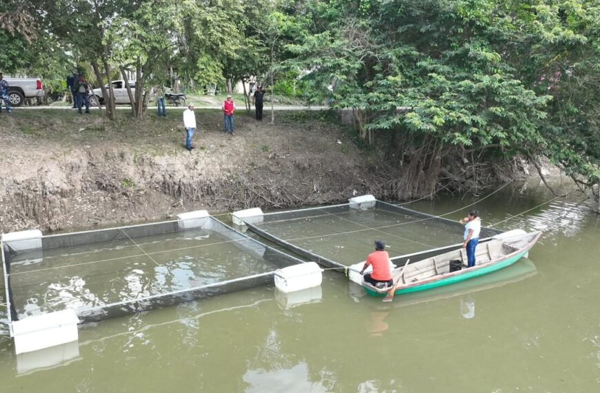 Pescando Vida sí es beneficio para las familias, sí es prosperidad, afirman ribereñas de Comunidades de Aprendizaje Acuícolas en Jonuta