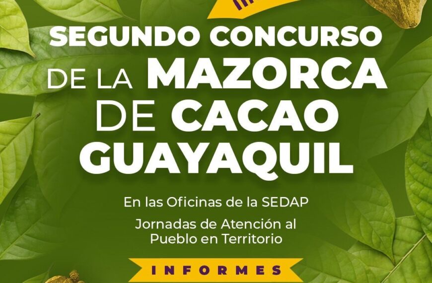 Cacao tabasqueño se alista para lucirse en la Feria Tabasco 2026.