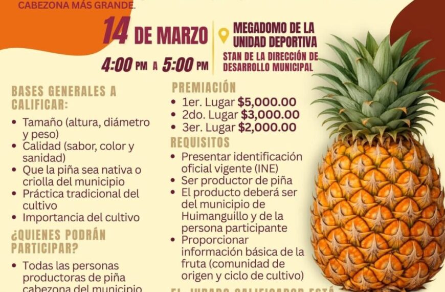 Convocan al Concurso de la Piña Cabezona Más Grande en Huimanguillo