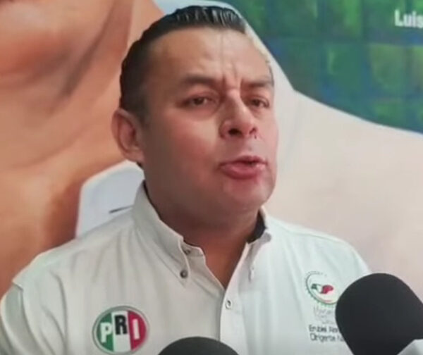 Rechazo a reforma electoral refleja un mal planteamiento de la iniciativa: Erubiel Alonso