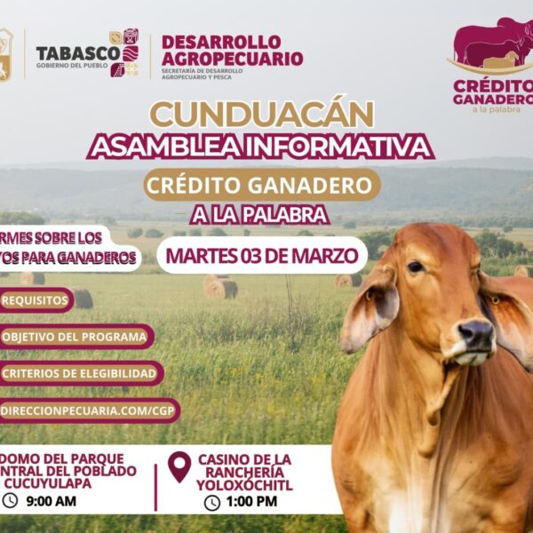 Inicia SEDAP censos del programa Crédito Ganadero a la Palabra en tres municipios