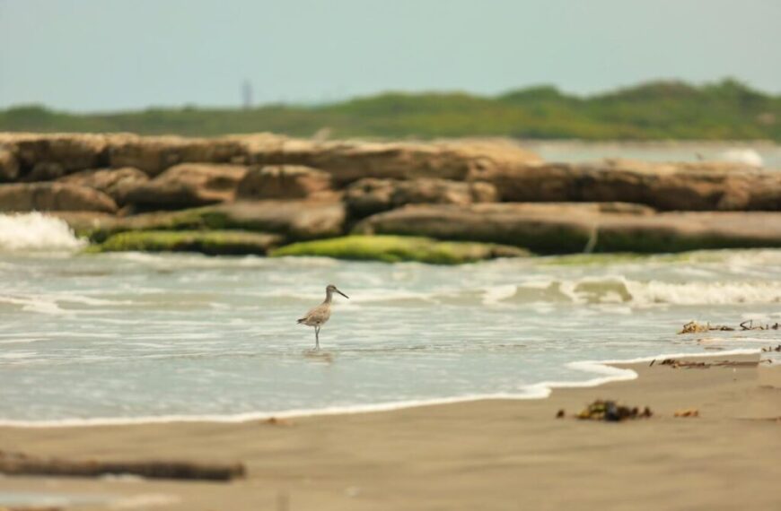 Playas y lagunas de Cárdenas, libres de presencia de hidrocarburo; servidores estatales y federales confirman limpieza de sitios turísticos