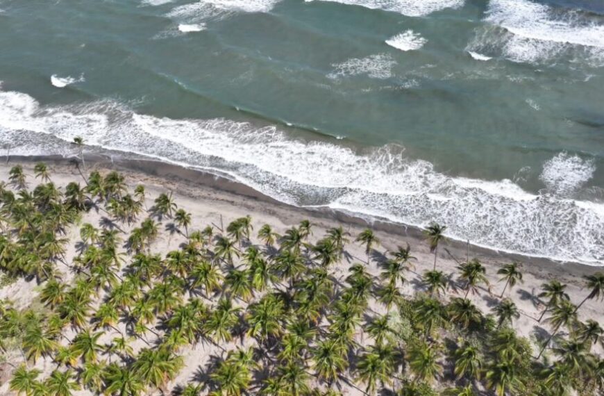 Listos restauranteros, pescadores y ostricultores de Paraíso para recibir a turistas en Semana Santa, con servicios y productos de calidad y limpio