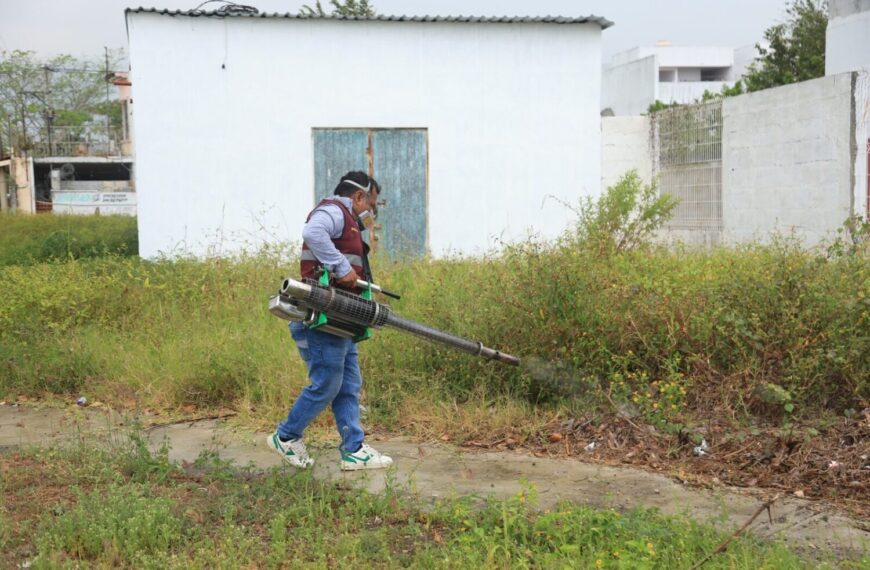 La prevención del Dengue y Chikungunya en Tabasco es responsabilidad de todos: Salud