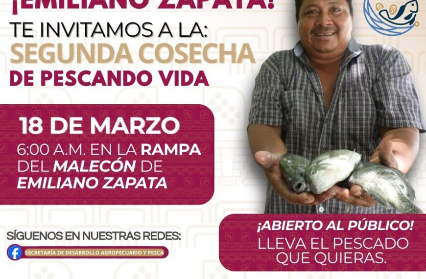 Del agua a tu mesa: llega a Emiliano Zapata la segunda cosecha de “Pescando Vida” con el apoyo del Gobierno del Pueblo