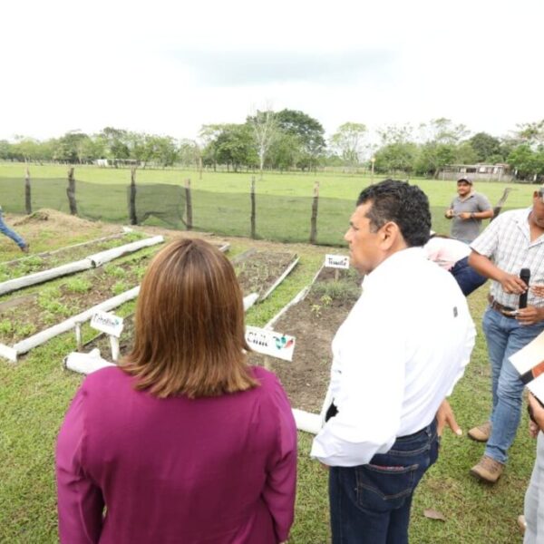 Sembrando Vida también cuida medio ambiente y fomenta alimentación sana, afirma Javier May
