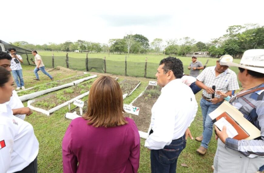 Sembrando Vida también cuida medio ambiente y fomenta alimentación sana, afirma Javier May