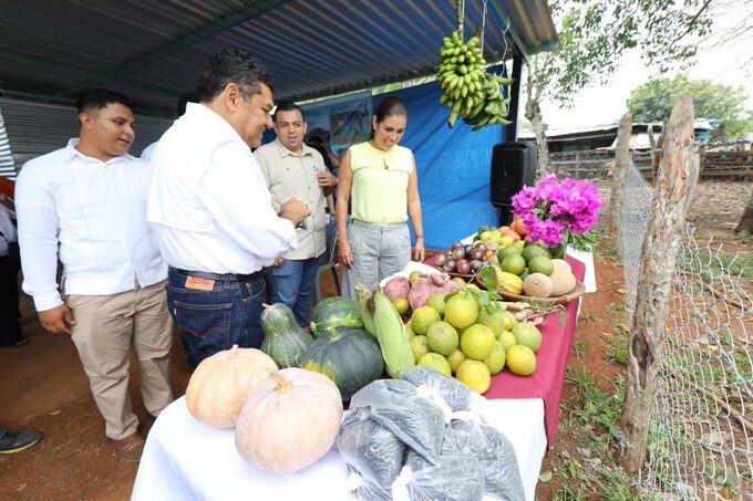 Destaca May efecto multiplicador del programa Sembrando Vida que impulsa la economía local
