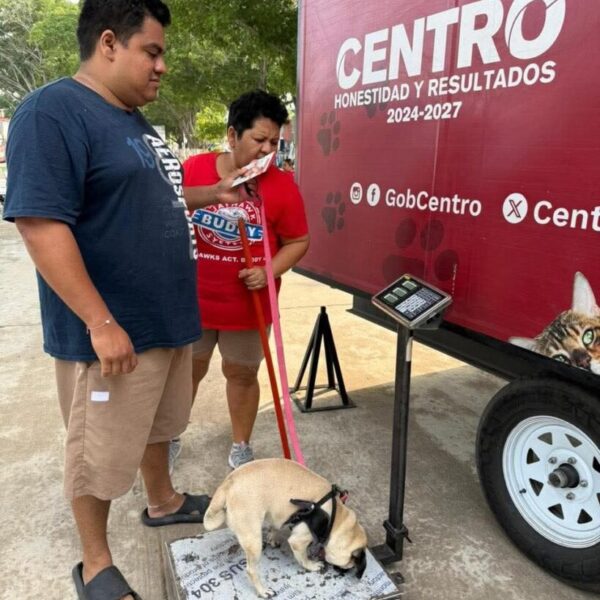 Brindan atención veterinaria gratuita en la colonia Indeco