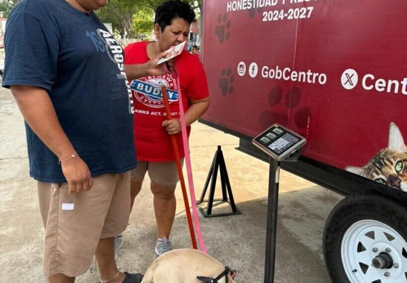 Brindan atención veterinaria gratuita en la colonia Indeco