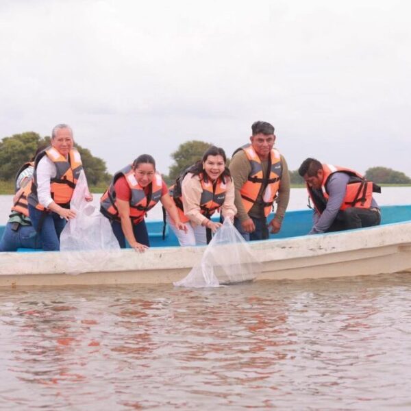 Fortalece Yolanda Osuna la pesca en sistema lagunar de Matillas con siembra de 200 mil crías de tilapia