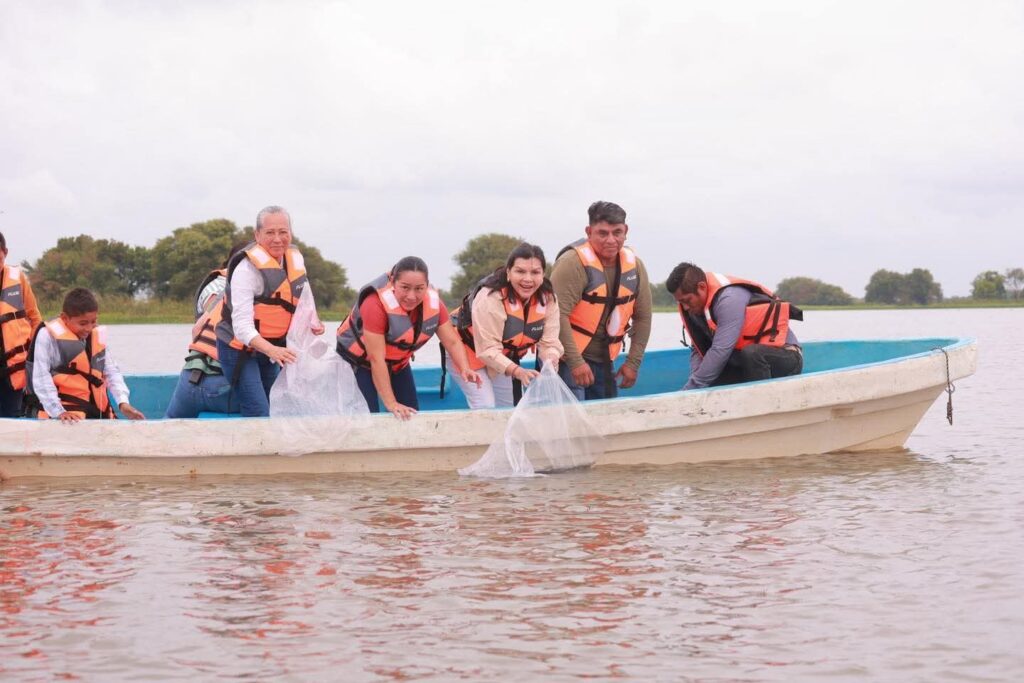 Fortalece Yolanda Osuna la pesca en sistema lagunar de Matillas con siembra de 200 mil crías de tilapia