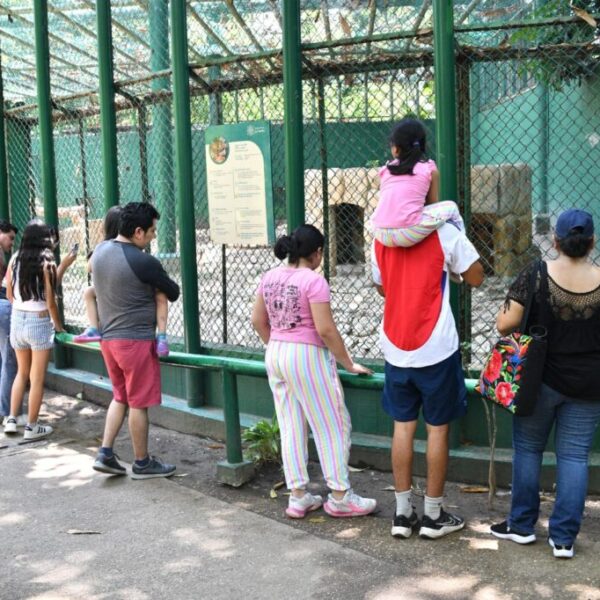 Arranca rehabilitación integral del Parque Museo La Venta