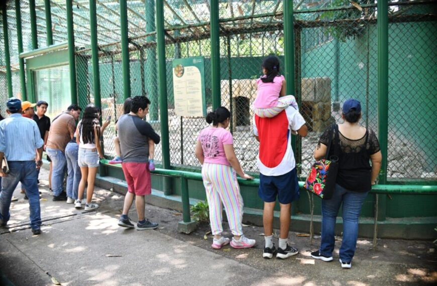 Arranca rehabilitación integral del Parque Museo La Venta