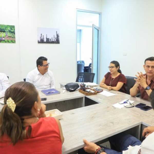 SEMADES, CFE y alcaldes actúan ante crisis eléctrica por ola de calor