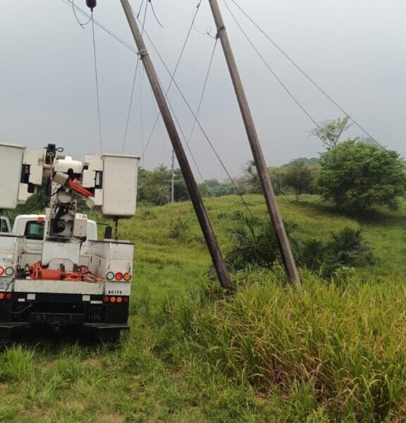 CFE intensifica mantenimiento eléctrico en Macuspana para garantizar servicio continuo