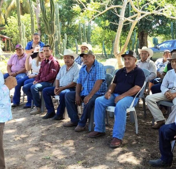 Arranca en Emiliano Zapata diagnóstico de gestación en ganado para fortalecer el hato ganadero en Tabasco