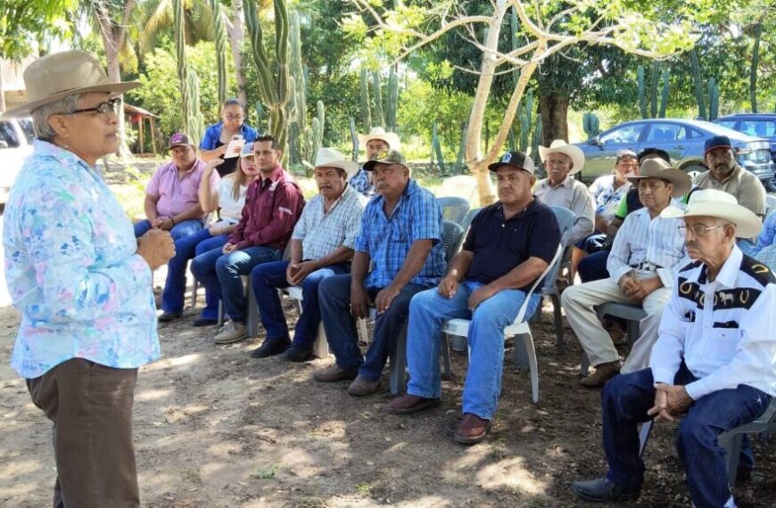 Arranca en Emiliano Zapata diagnóstico de gestación en ganado para fortalecer el hato ganadero en Tabasco