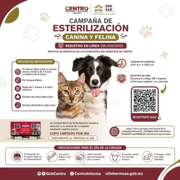 Ayuntamiento de Centro. Campaña de esterilización canina. Siga las instrucciones: