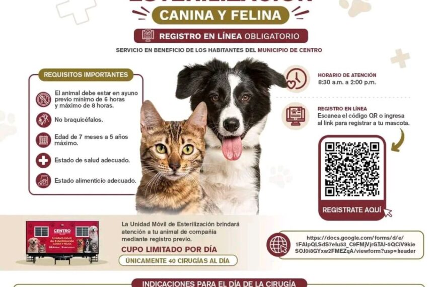 Ayuntamiento de Centro. Campaña de esterilización canina. Siga las instrucciones: