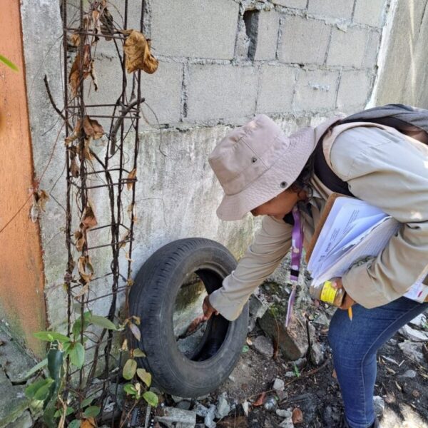 Necesario reforzar las medidas preventivas contra el dengue ante el inicio de las lluvias: Salud