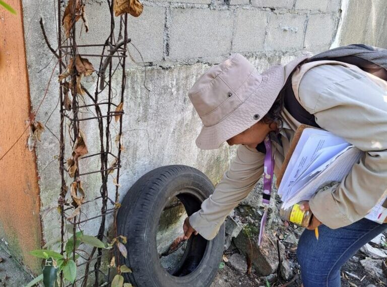 Necesario reforzar las medidas preventivas contra el dengue ante el inicio de las lluvias: Salud