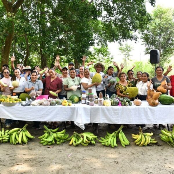 Sembrando Vida rescata al campo tabasqueño y fortalece economía familiar, destacan productores de Jalpa de Méndez