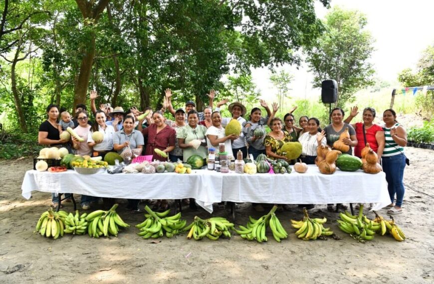 Sembrando Vida rescata al campo tabasqueño y fortalece economía familiar, destacan productores de Jalpa de Méndez