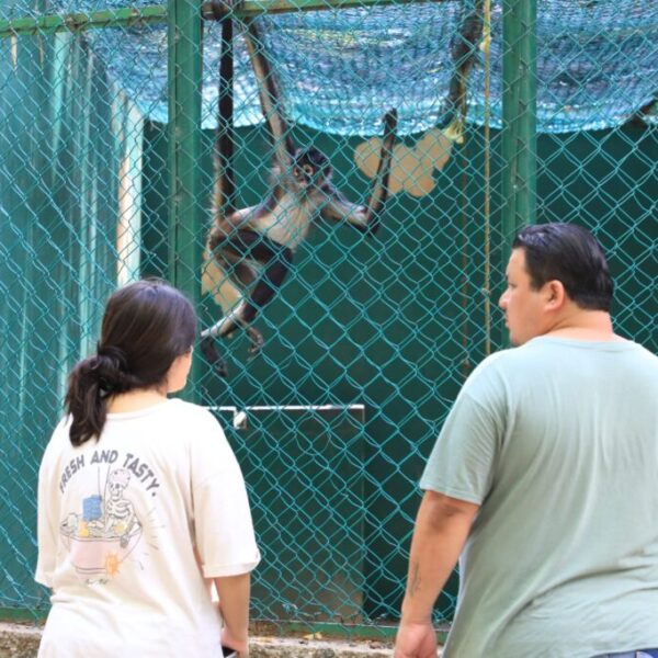 Comunidad cultural considera importante, oportuna y acertada la rehabilitación del área zoológica del Parque Museo La Venta