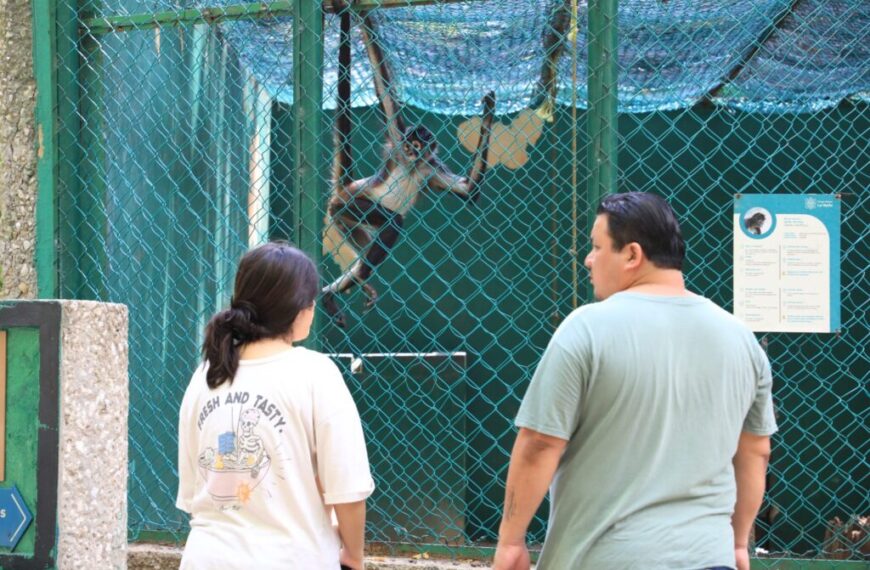 Comunidad cultural considera importante, oportuna y acertada la rehabilitación del área zoológica del Parque Museo La Venta