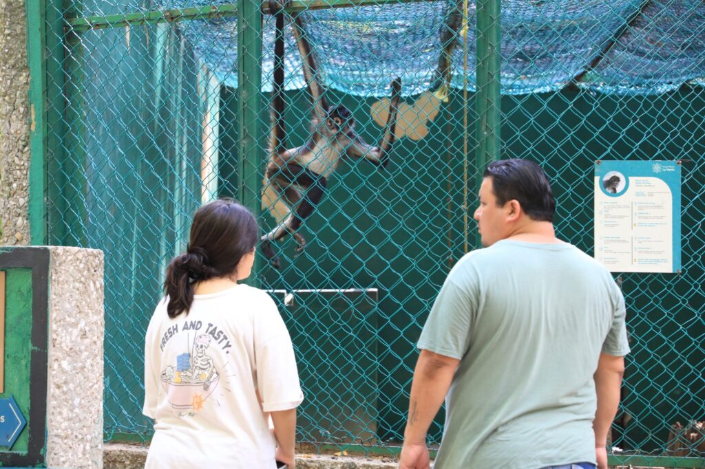 Comunidad cultural considera importante, oportuna y acertada la rehabilitación del área zoológica del Parque Museo La Venta