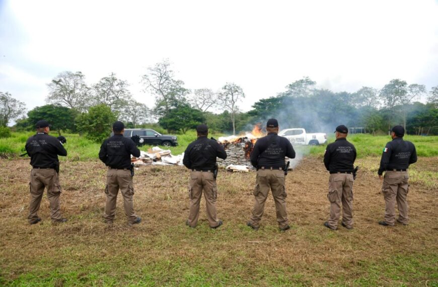Destruyen casi una tonelada de narcóticos asegurados en operativos coordinados entre fuerzas federales y estatales