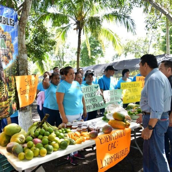 Sembrando Vida transforma la economía rural de Balancán con derrama anual de 840 mdp: Javier May