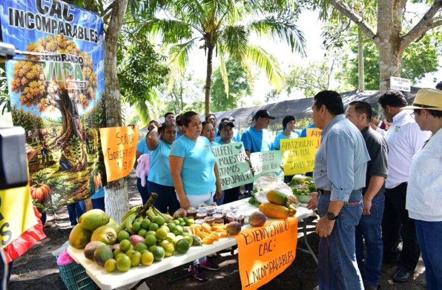 Sembrando Vida transforma la economía rural de Balancán con derrama anual de 840 mdp: Javier May