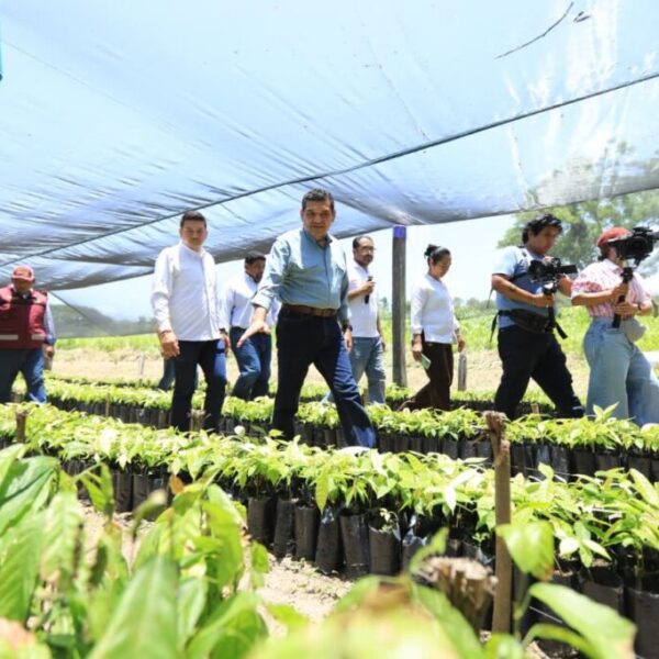 Tabasco avanza hacia la autosuficiencia alimentaria con Sembrando Vida, afirma Javier May al supervisar el CAC de Comalcalco