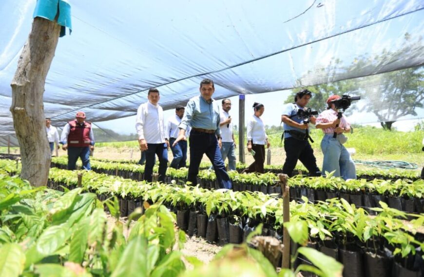 Tabasco avanza hacia la autosuficiencia alimentaria con Sembrando Vida, afirma Javier May al supervisar el CAC de Comalcalco