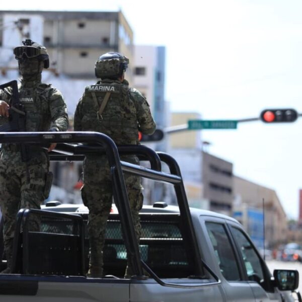 Aseguran más de una tonelada de marihuana en operativos de seguridad