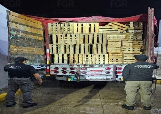 Vinculan a proceso a una persona por transportar casi una tonelada de mariguana