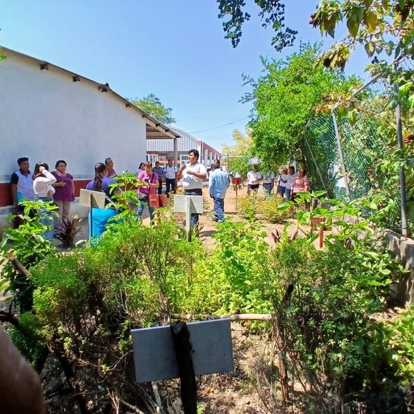 Voces de la Transformación: En la Biósfera Pantanos de Centla, la “Farmacia de la vida” brinda esperanza y alivia enfermedades