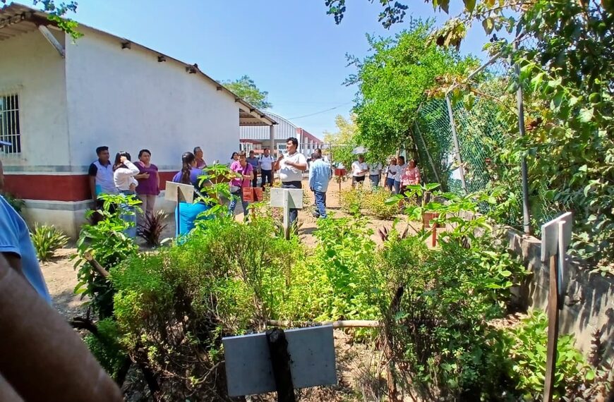 Voces de la Transformación: En la Biósfera Pantanos de Centla, la “Farmacia de la vida” brinda esperanza y alivia enfermedades